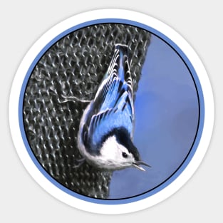 White-Breasted Nuthatch Sticker